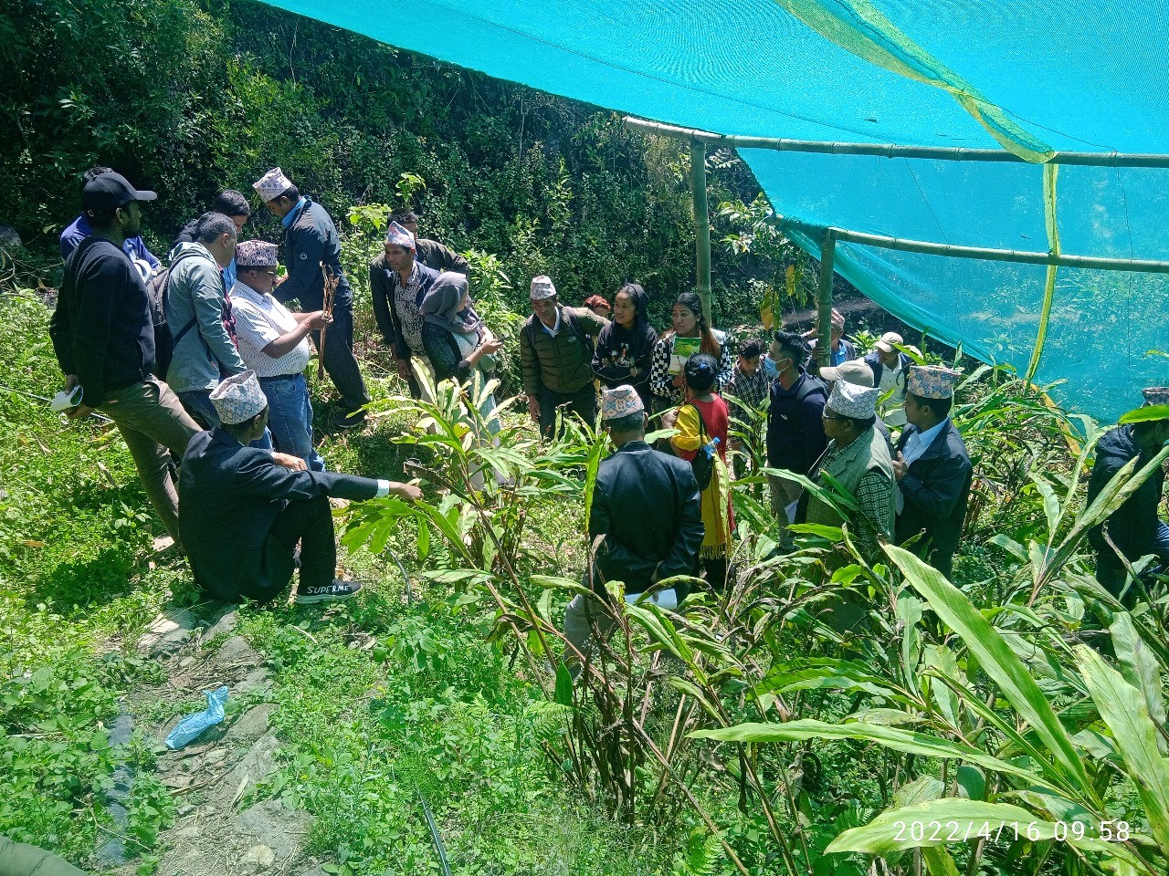 कार्यक्रम कार्यान्वयन एकाई, तेह्रथुम Slider Image 7