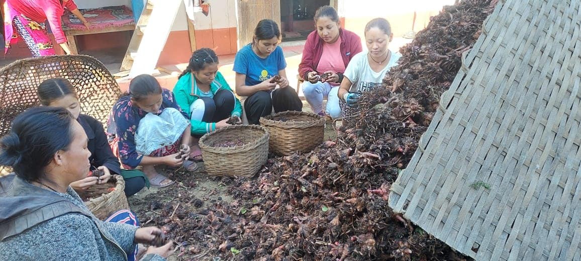 कार्यक्रम कार्यान्वयन एकाई, तेह्रथुम Slider Image 8