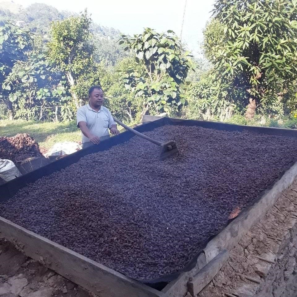 कार्यक्रम कार्यान्वयन एकाई, तेह्रथुम Slider Image 6