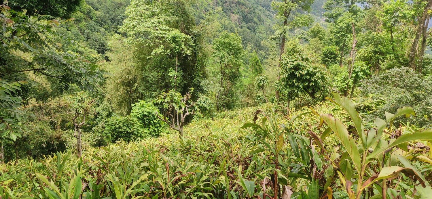 कार्यक्रम कार्यान्वयन एकाई, तेह्रथुम Slider Image 2